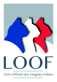 loof