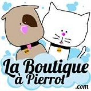 logo boutique a pierrot